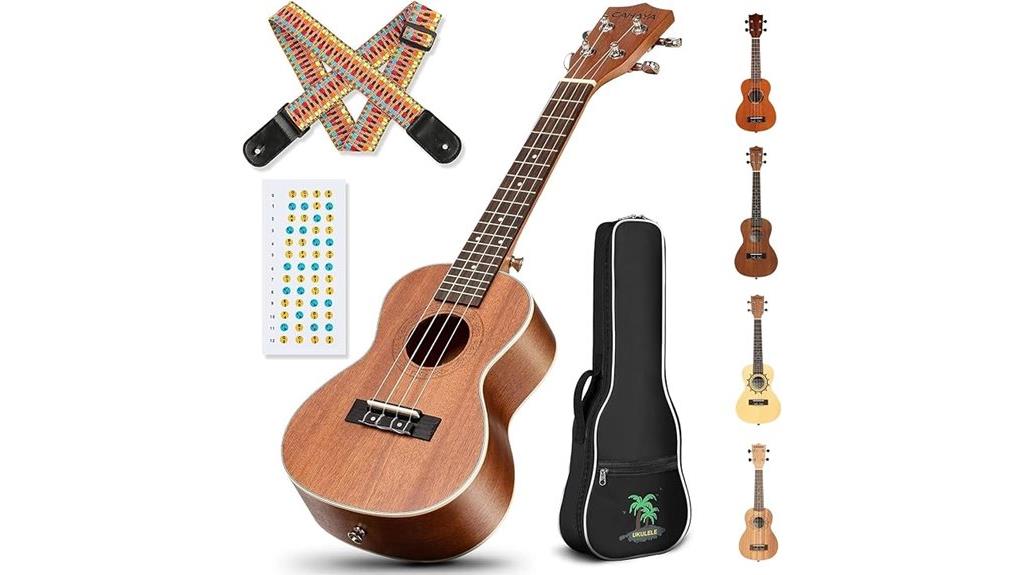 beginner ukulele kit