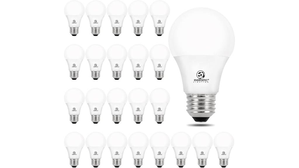bulk 24 led bulbs