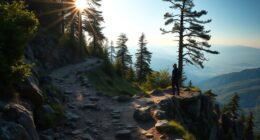 managing investment sequence risks