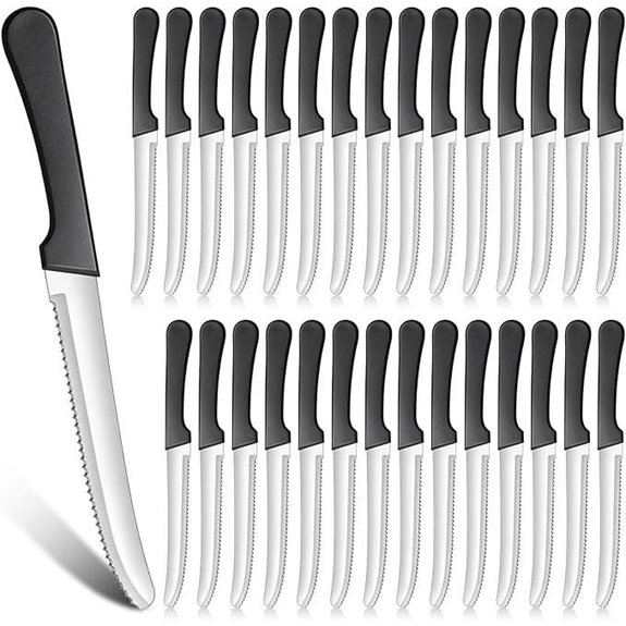 Zhehao 30 Pack Serrated Steak Knives with Plastic Handles