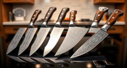 top premium knife selections