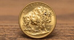 buffalo gold coin security